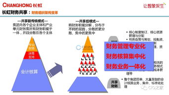 長(zhǎng)虹財(cái)務(wù)共享服務(wù)中心 信息化建設(shè)的創(chuàng)新與實(shí)踐之路